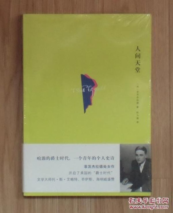菲茨杰拉德的文学成就
