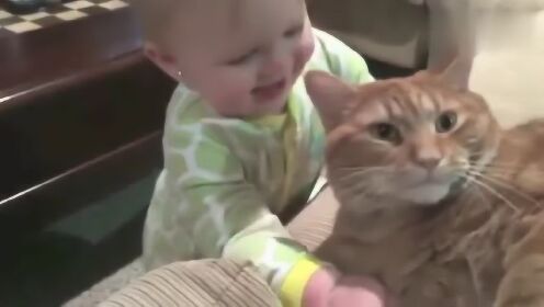 宝宝好奇逗高冷猫猫