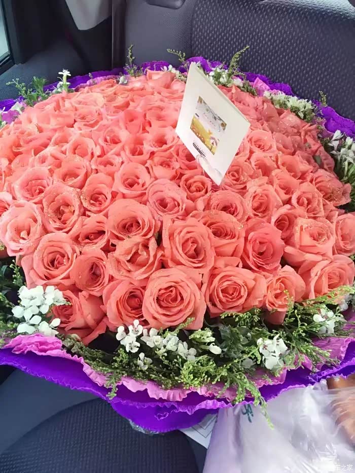 365朵玫瑰花视频教程，从笨手笨脚到浪漫自由的进阶之路